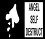 Angel Self Destruct profile picture