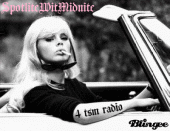 SPOTLITE W MIDNITE TSM RADIO profile picture