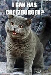 icanhascheezburger