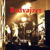 Badvajzer profile picture