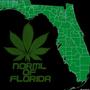 The Official Norml Of Florida profile picture