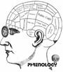 Phrenology profile picture