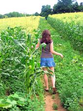 The Designing Diva profile picture