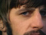 Beatles Forever profile picture