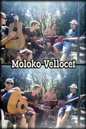 Moloko Vellocet â™ªâ™«â™ª profile picture