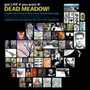 Dead Meadow profile picture