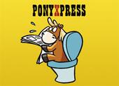 PonyXPress profile picture