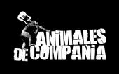 ANIMALES DE COMPAÃ‘ÃA profile picture