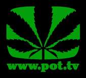 Pot TV profile picture