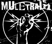 muletrain profile picture