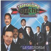 Tropicalisimo Apache profile picture