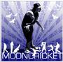 MOONCRICKET FILMS LLC profile picture