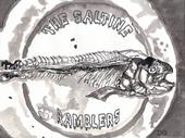 The Saltine Ramblers profile picture