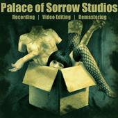 Palace of Sorrow Studios [NEW PAGE] profile picture