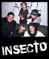 INSECTO profile picture