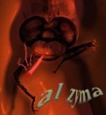 AL ZYMA the DRAGONFLY KING profile picture