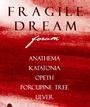 Fragile Dream Forum profile picture