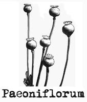 Paeoniflorum Records profile picture