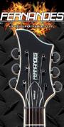 FERNANDES GUITARS profile picture