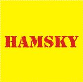 HAMSKY profile picture