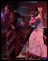 Sumaya Flamenco profile picture