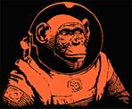 SPACE-BONOBOS profile picture