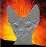 ~METALLICAT~ profile picture