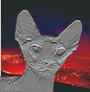 ~METALLICAT~ profile picture