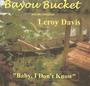 Bayou Bucket Revival Band profile picture