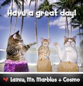 Lainie, Mr. Marbles & Cosmo profile picture