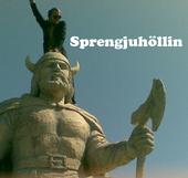 SprengjuhÃ¶llin profile picture