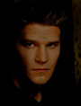 Buffy and Angel Fan Group profile picture