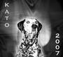 Kato profile picture