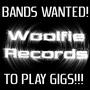 WOOLFIE RECORDS - BANDS WANTED FOR GIGS profile picture