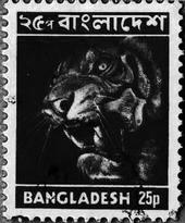 BANGLADESH profile picture