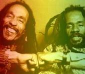 Israel Vibration profile picture