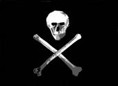 Salt Sea Pirates profile picture