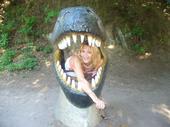 Debra profile picture