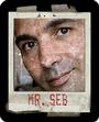 mr. seb profile picture