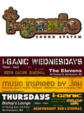 I-Ganic Sound System profile picture