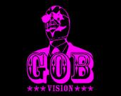 GOB Vision profile picture