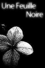 UNE FEUILLE NOIRE profile picture