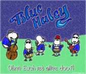 Blue Haley Fan-Account profile picture