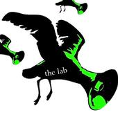 the lab profile picture