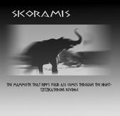 SkoRamis profile picture