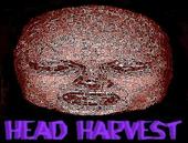 Head Harvest profile picture