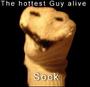 Sock™[11k+] profile picture