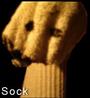 Sock™[11k+] profile picture