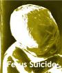 Fetus Suicide profile picture