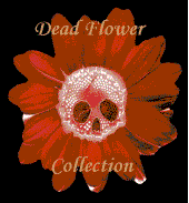 Dead Flower Collection profile picture